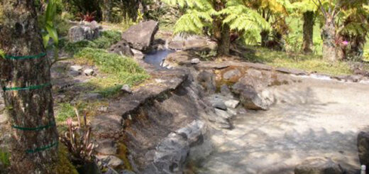 Fish Pond Repair