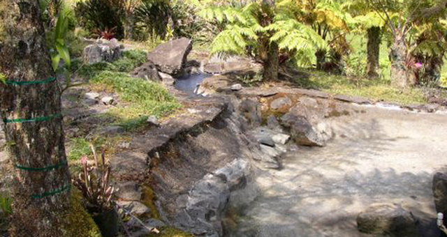 Fish Pond Repair