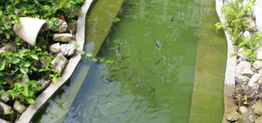 pond liner