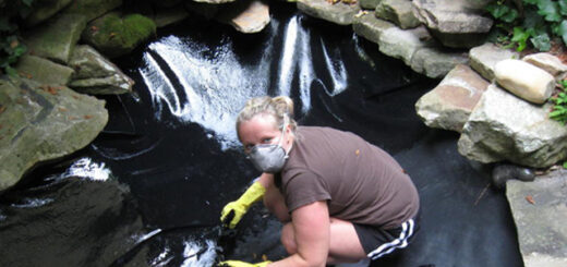 pond repair