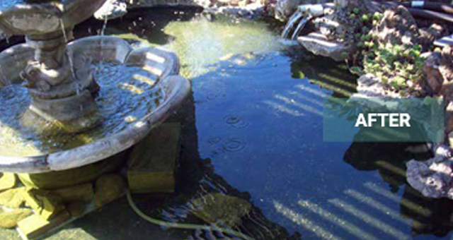 pond liner