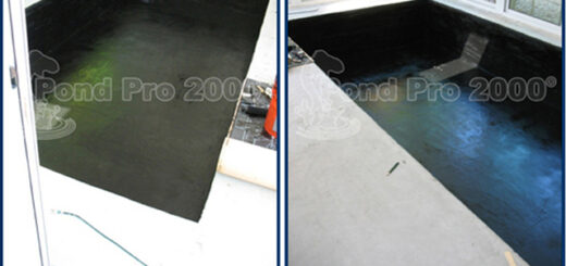 concrete pond coating