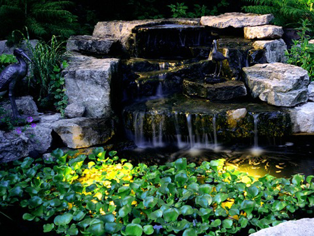 Tips for Proper Fish Pond Coating - Pond Pro 2000 Blog