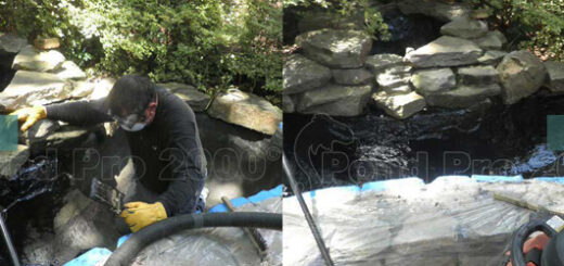 Before and after concrete pond leak repair and waterproof sealing by pondpro2000.com