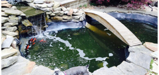 Pond Liner Repair