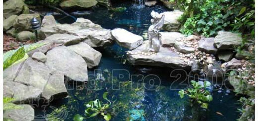 Fish Pond Sealant