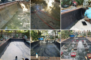 A Leaking Pond Solution for Koi Ponds: Ensuring a Safe Environment for