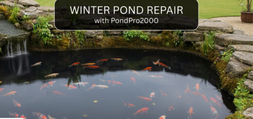 A person in winter clothing repairs a cracked concrete pond with a black sealant from a can labeled PondPro Liquid EPDM, surrounded by snow and a partially frozen pond.