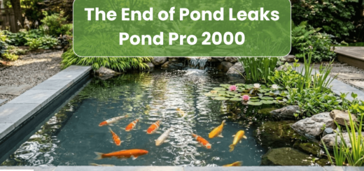 A crystal-clear backyard koi pond with a full water level and a seamless charcoal grey liquid pond liner finish on the concrete basin.